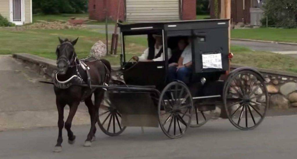 Servizio Uber a cavallo, folle iniziativa Amish
