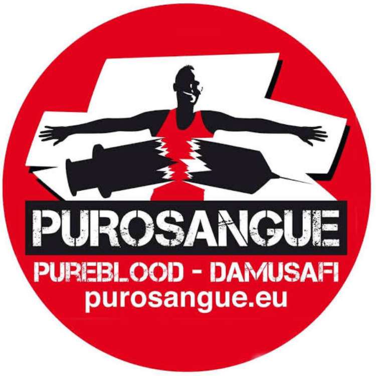 Purosangue