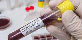 Il coronavirus