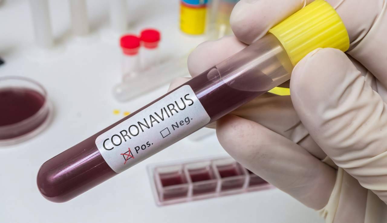 Il coronavirus