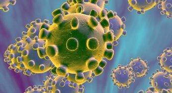 Coronavirus, l’OMS annuncia quando ci sarà il picco del contagio in Italia