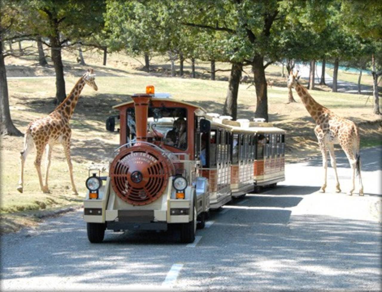 Safari Park