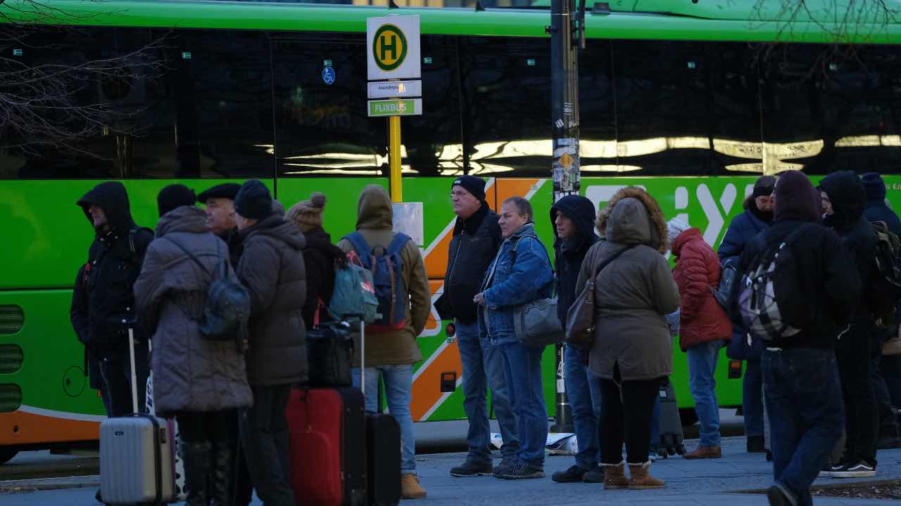 bus turistici