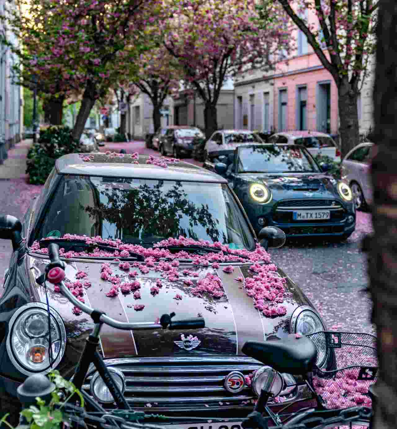 Nuova Mini Cabrio