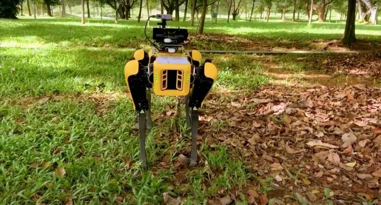 spot cane robot