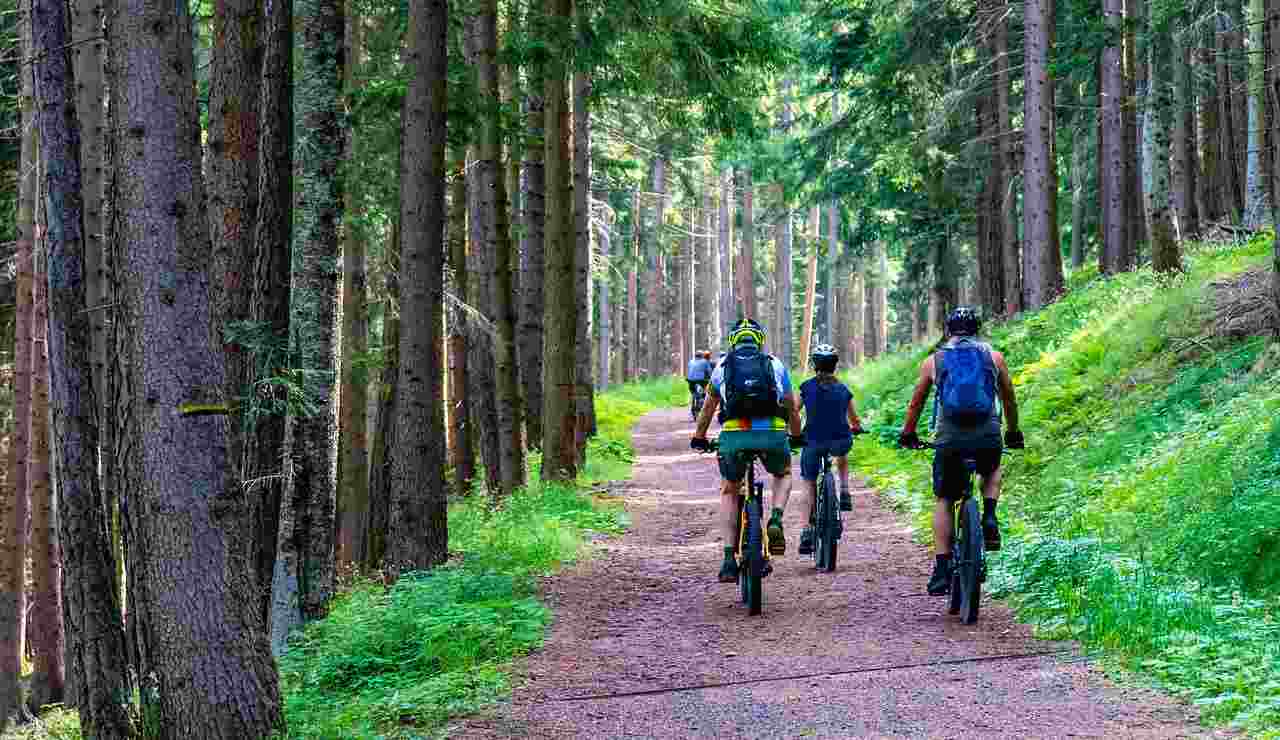 Mountain Bike Alfa Romeo e-bike