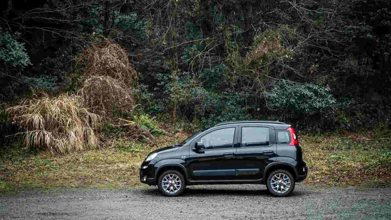 Fiat Panda, perché si chiama così: l’origine del nome della city car