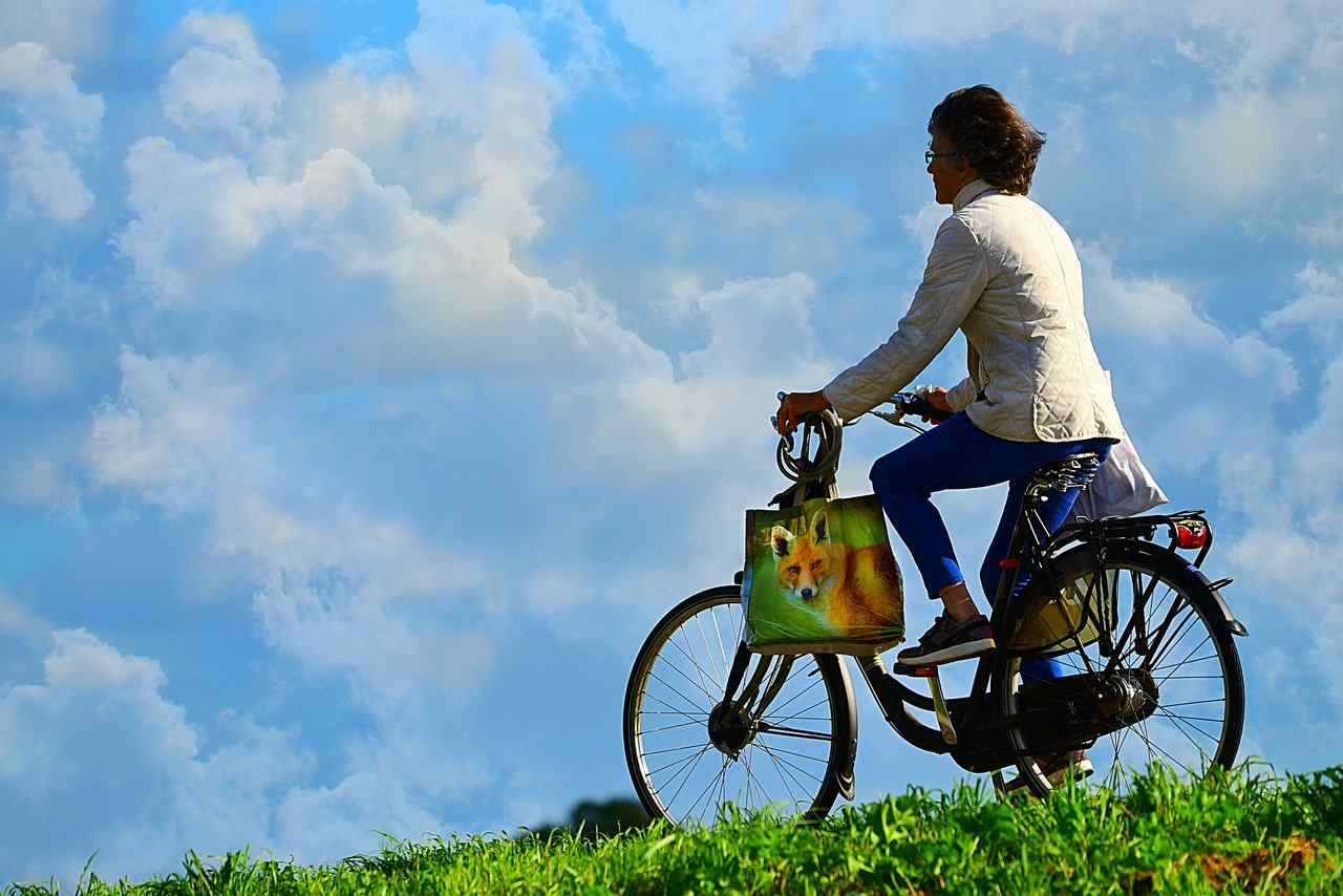 Come funziona la richiesta del Bonus bici