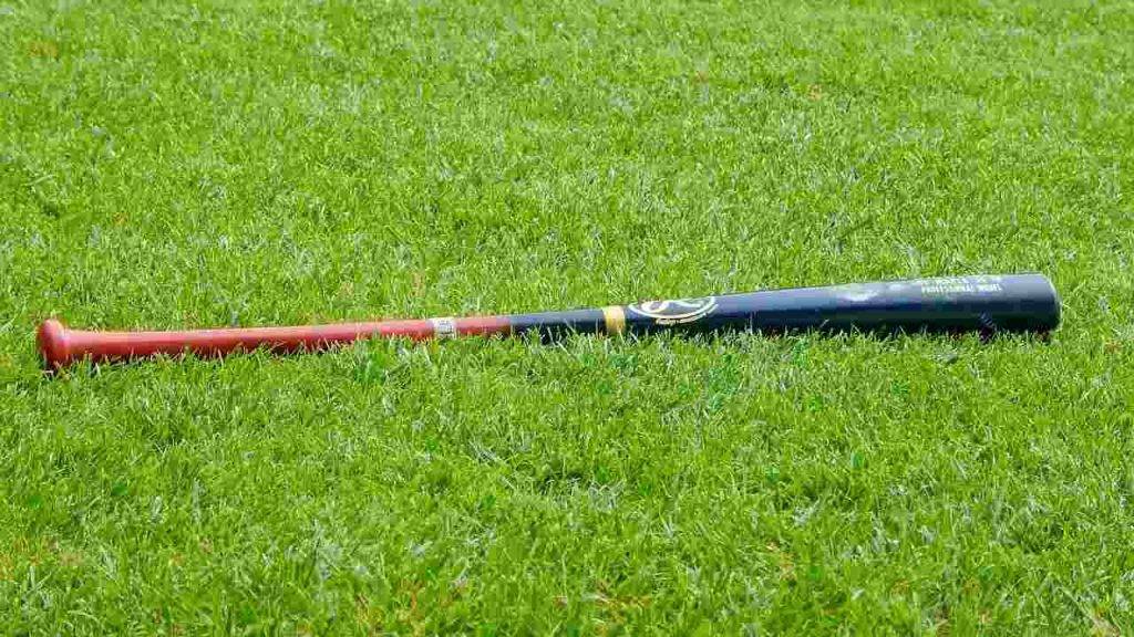 Quanto Pesa Una Mazza Da Baseball