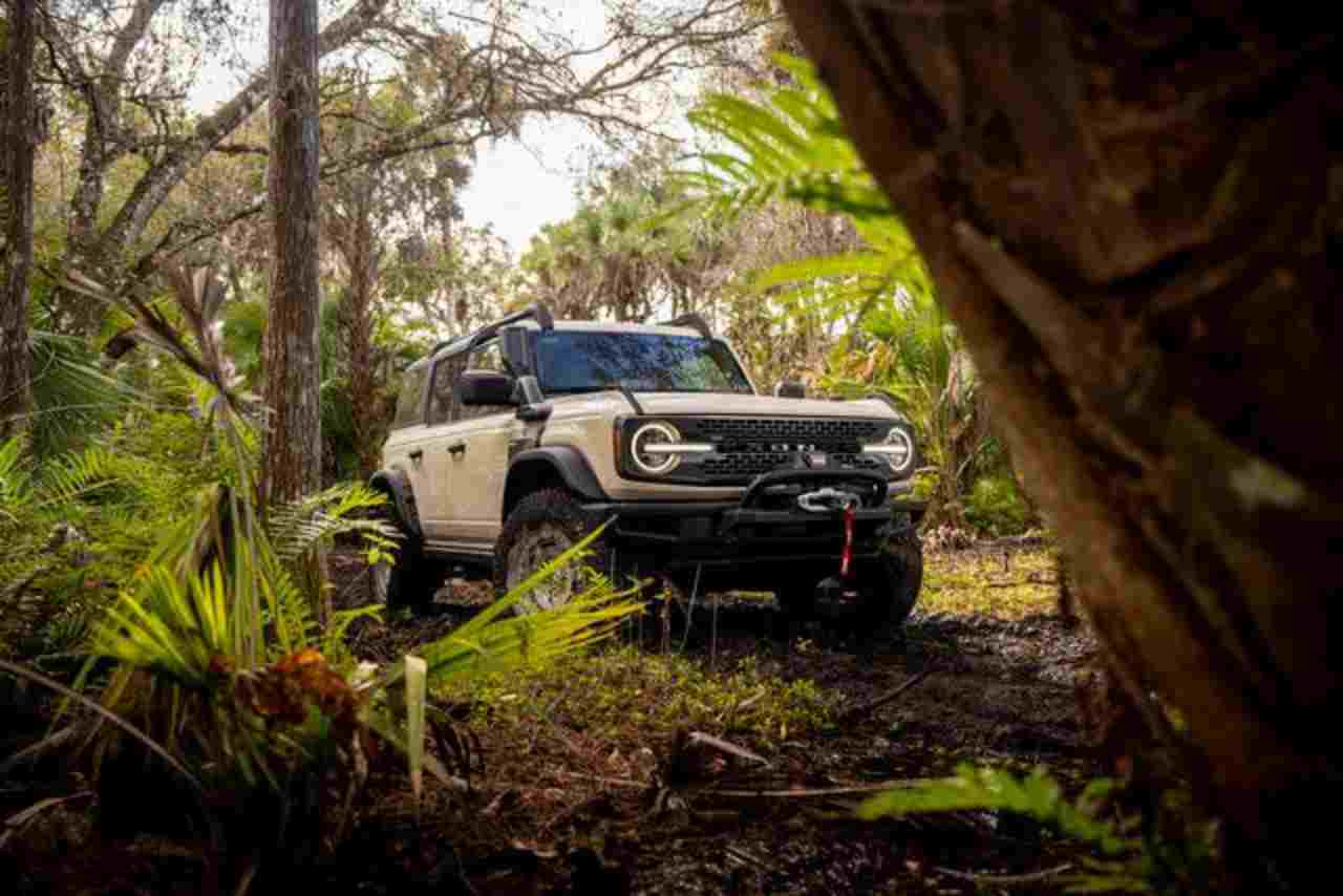 Ford Bronco Everglades