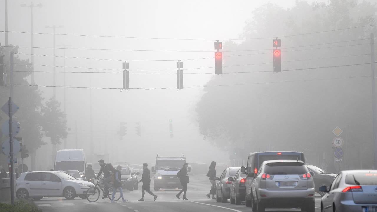 Nebbia in strada