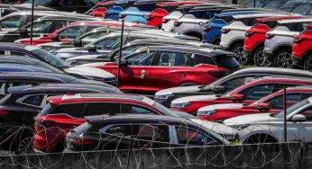 Sapevi che puoi non pagare il Bollo Auto: se rientri in questi casi è possibile