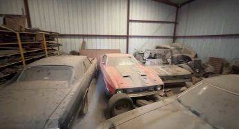 Ford Mustang e Dodge, quante Auto abbandonate: le condizioni impressionano – Video