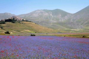 Casteluccio che meta