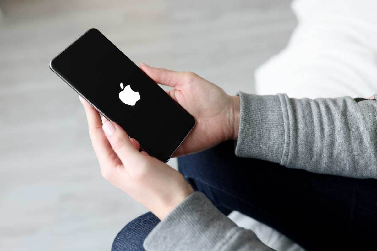 Apple Mappe novità