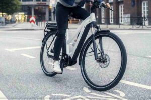 Bici elettrica truffa